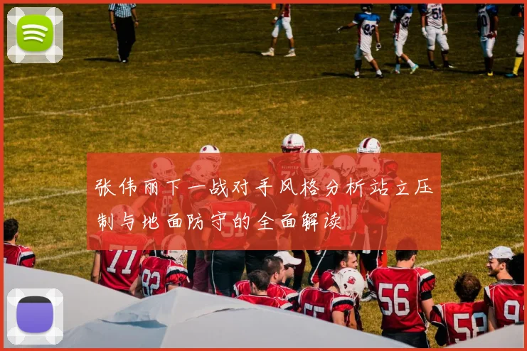 张伟丽下一战对手风格分析站立压制与地面防守的全面解读