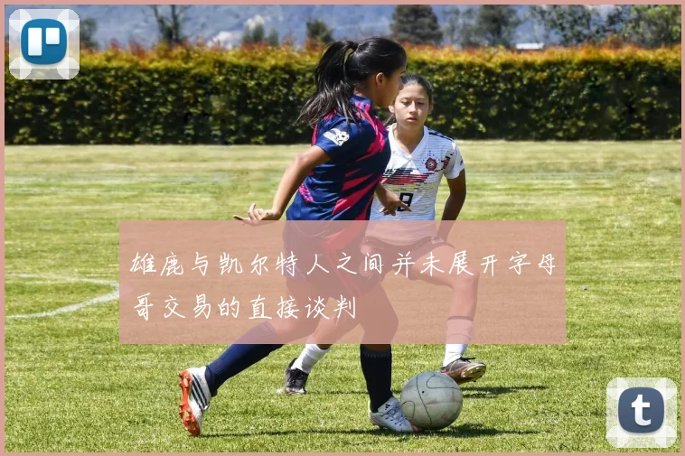 雄鹿与凯尔特人之间并未展开字母哥交易的直接谈判